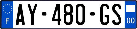 AY-480-GS