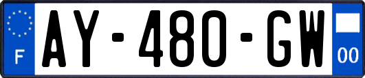 AY-480-GW