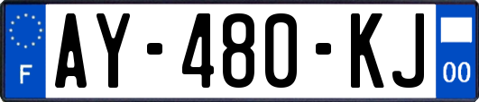 AY-480-KJ