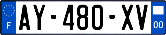 AY-480-XV