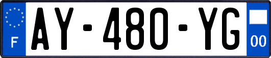 AY-480-YG