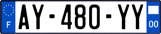 AY-480-YY