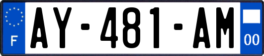 AY-481-AM
