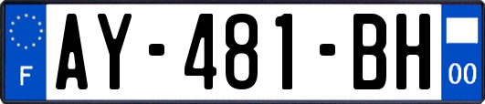 AY-481-BH