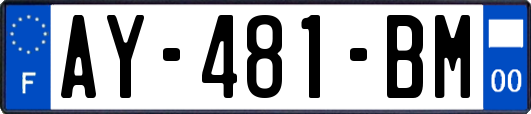 AY-481-BM