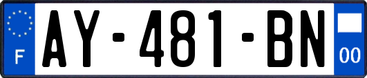 AY-481-BN