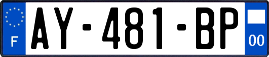 AY-481-BP