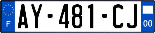 AY-481-CJ