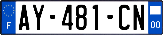 AY-481-CN