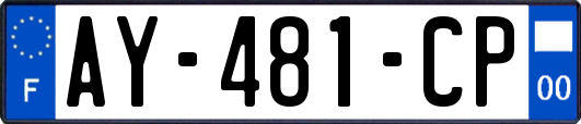 AY-481-CP