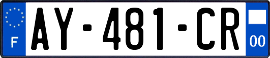 AY-481-CR