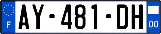 AY-481-DH
