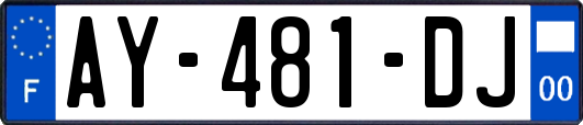 AY-481-DJ