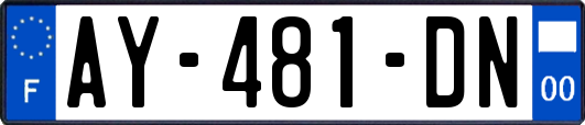AY-481-DN