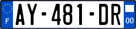 AY-481-DR