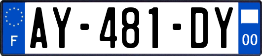 AY-481-DY