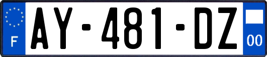AY-481-DZ
