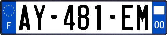 AY-481-EM