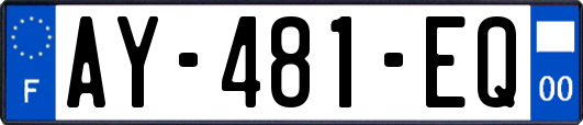 AY-481-EQ