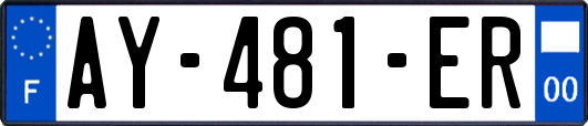 AY-481-ER