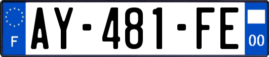 AY-481-FE
