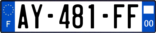 AY-481-FF