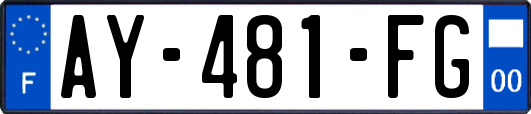 AY-481-FG