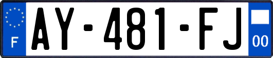AY-481-FJ