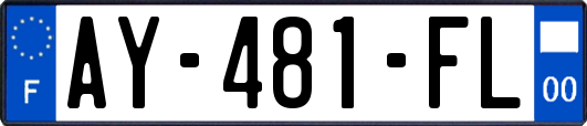 AY-481-FL
