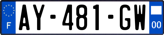 AY-481-GW