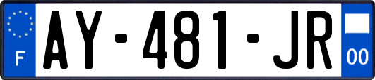 AY-481-JR