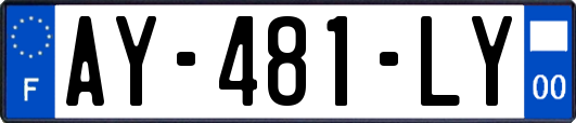 AY-481-LY