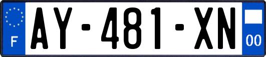 AY-481-XN