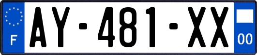 AY-481-XX