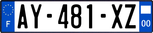 AY-481-XZ