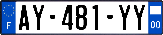 AY-481-YY