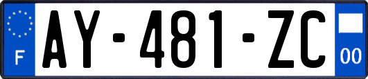 AY-481-ZC