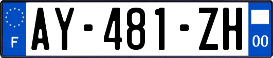 AY-481-ZH