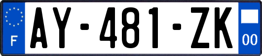 AY-481-ZK