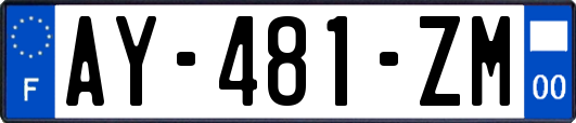 AY-481-ZM