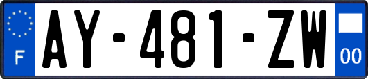 AY-481-ZW