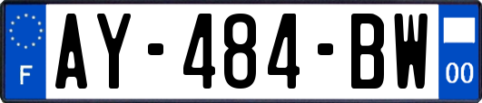 AY-484-BW