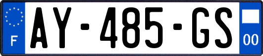 AY-485-GS