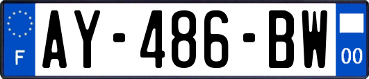 AY-486-BW