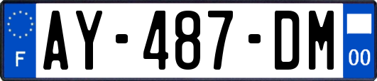AY-487-DM
