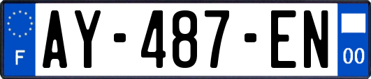 AY-487-EN