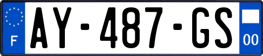 AY-487-GS