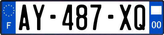AY-487-XQ