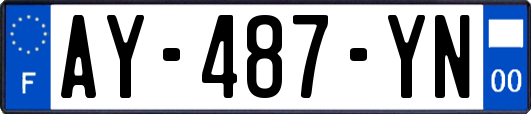 AY-487-YN