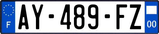 AY-489-FZ